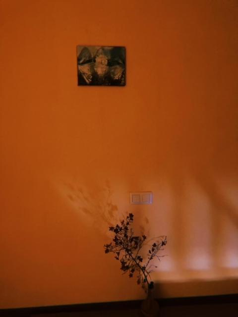 Home Away Home In Heart Of Tbilissi Extérieur photo